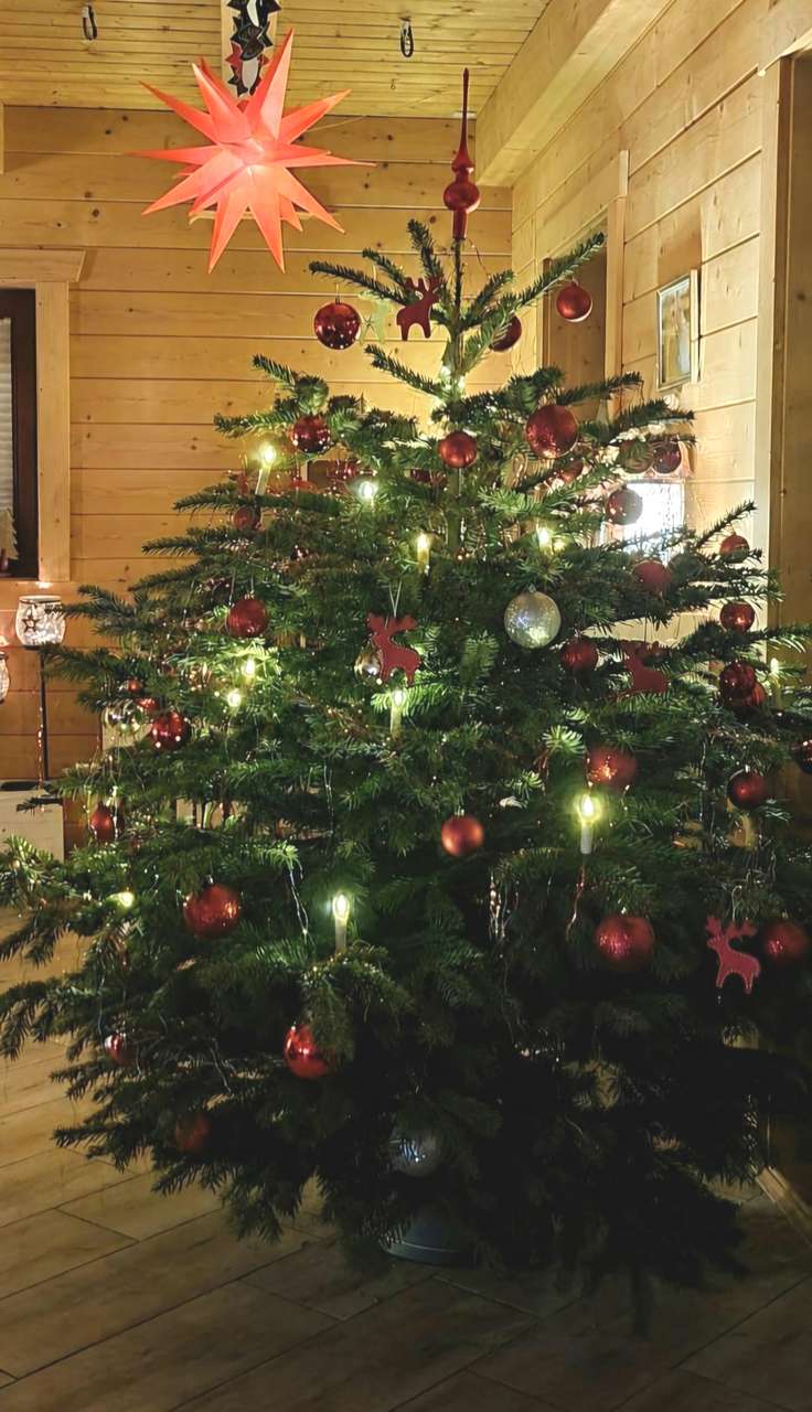 Weihnachten im neuen Zuhause! Familientraum sucht ...