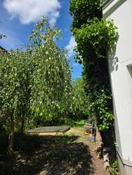 Spielbereich