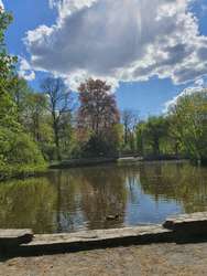 Mehr Natur direkt um die Ecke