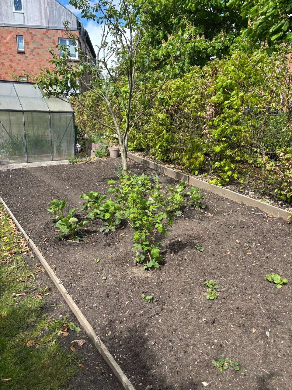 Nutzgartenbereich... Nutzgartenbereich...